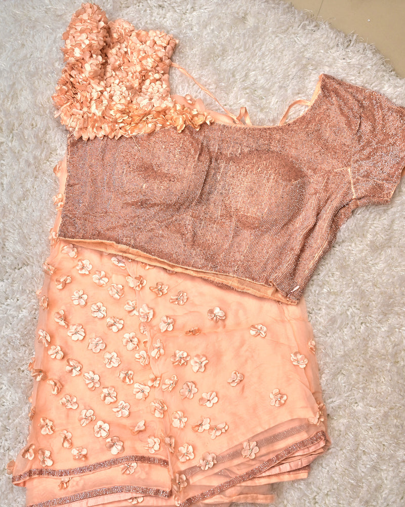 Aaral – Pure Organza Saree in Peach with Designer Blouse