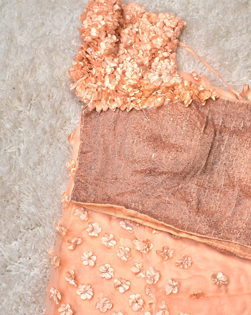 Aaral – Pure Organza Saree in Peach with Designer Blouse