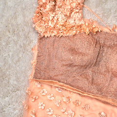 Aaral – Pure Organza Saree in Peach with Designer Blouse