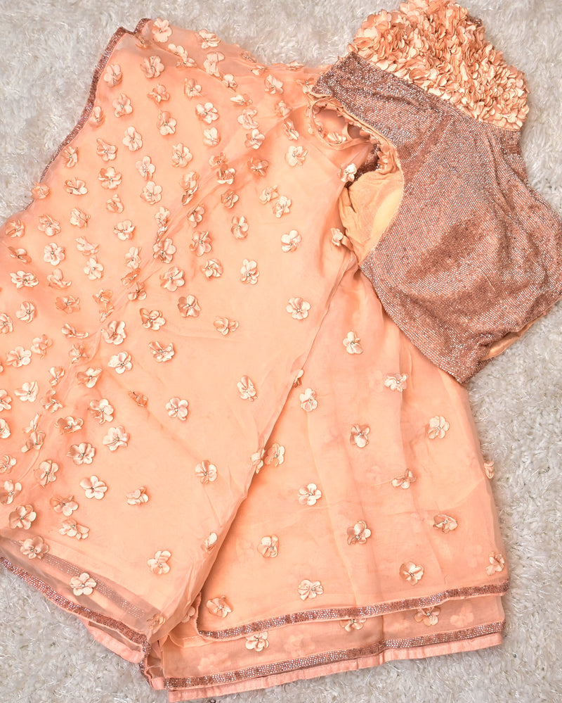 Aaral – Pure Organza Saree in Peach with Designer Blouse