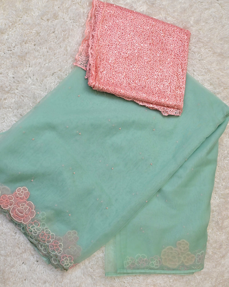 Vasanta – Pure Organza Saree in Mint Green with Net Sequin Blouse