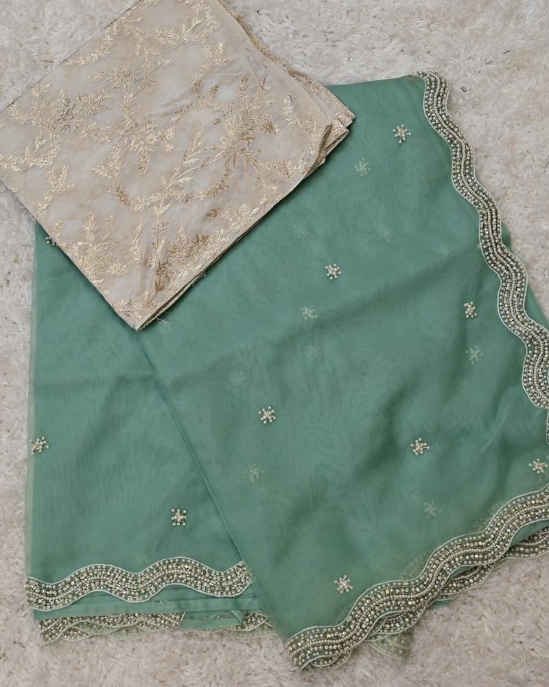 Naimi– Pure Organza Saree in Mint Green with Ivory Benarasi Blouse