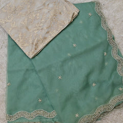 Naimi– Pure Organza Saree in Mint Green with Ivory Benarasi Blouse