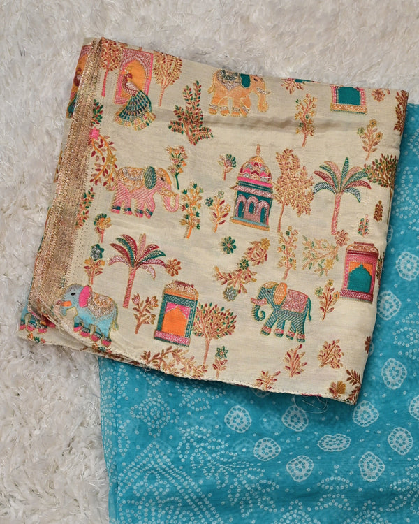 Anu – Sky Blue Organza Saree with Statement Brocade Blouse