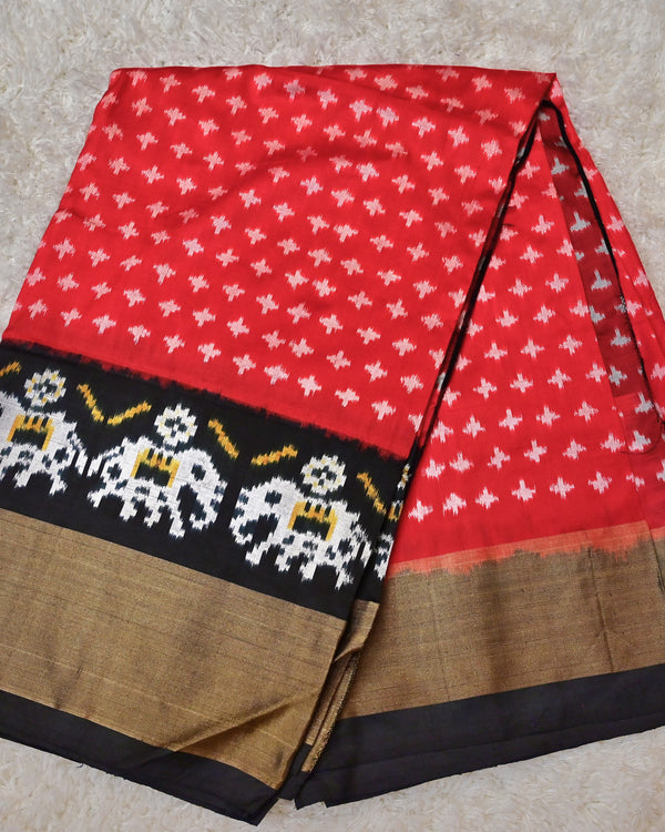 Radhvi-Pure Ikkat Saree with Hand-Embroidered Blouse