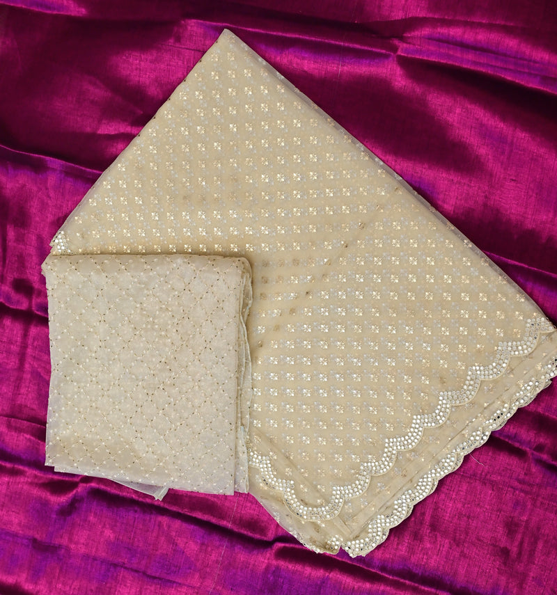 Nivriti – Pure Organza Saree in Ivory with Statement Net Blouse