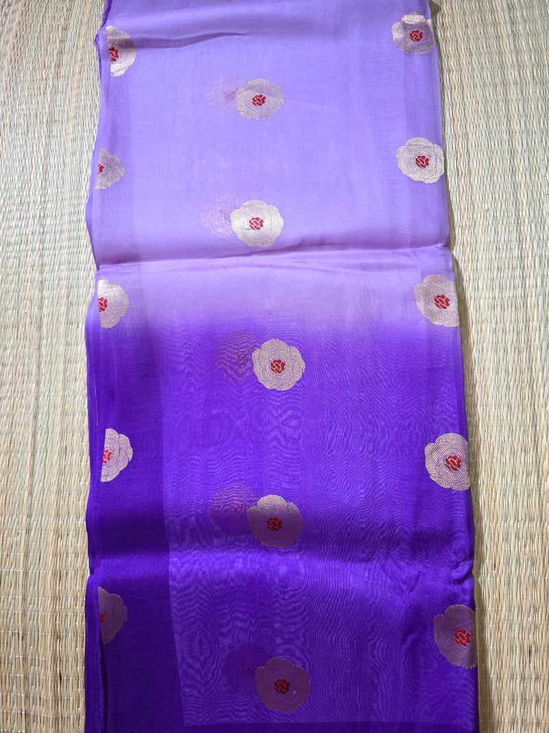 Pure Organza Shaded Handloom Saree