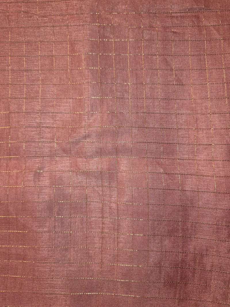 Tussar Silk Saree with Zari Checks and Embroidery