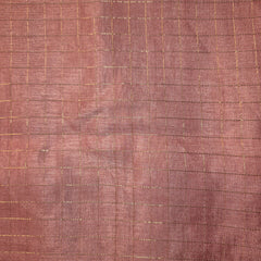 Tussar Silk Saree with Zari Checks and Embroidery