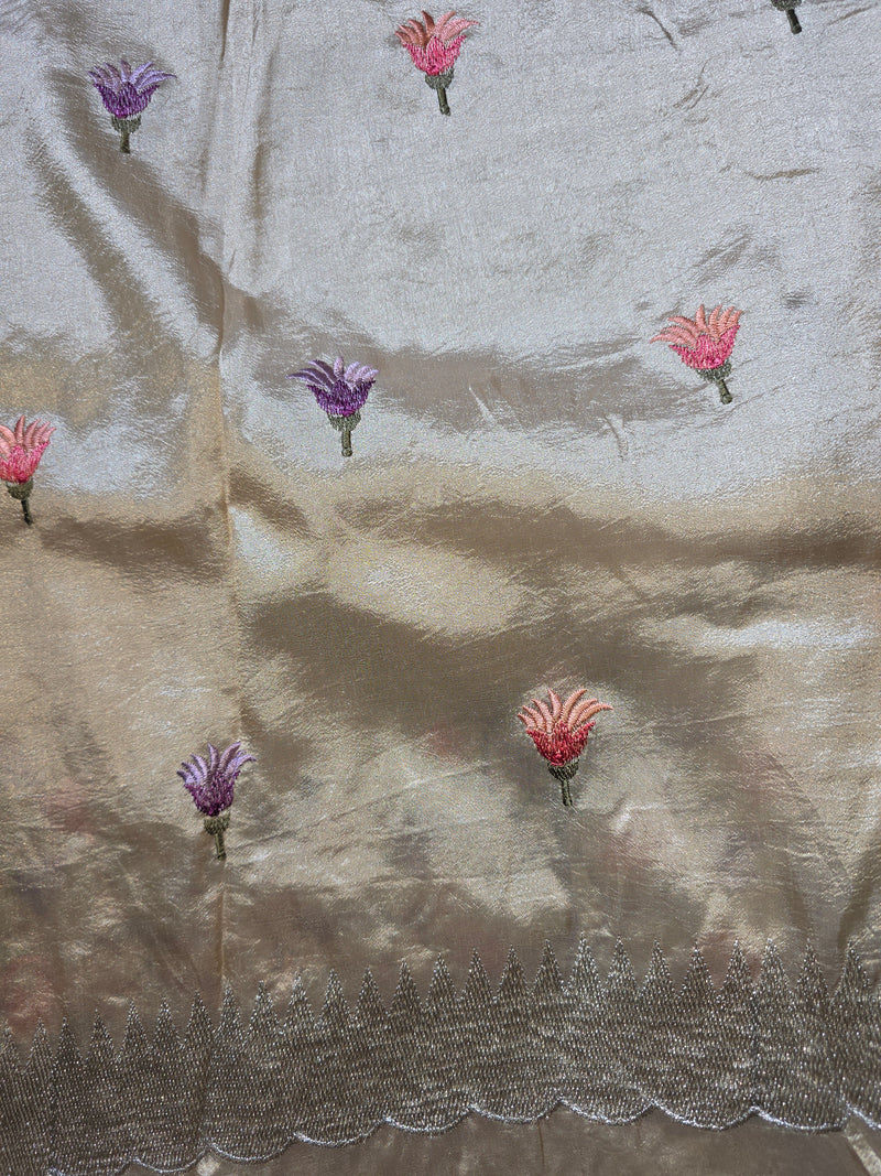 Pure Raw Silk with German Silver Border and Embroidery