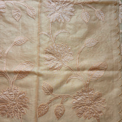 Kota Tissue Saree with Applique Work