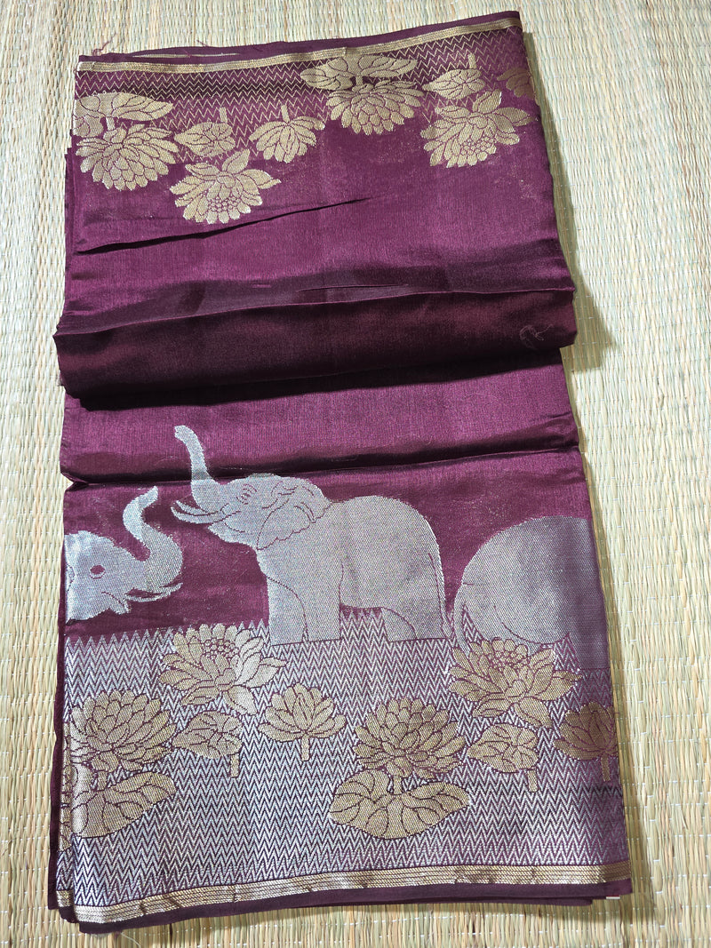 Tussar Silk Saree with woven Pattern in Skirt Border