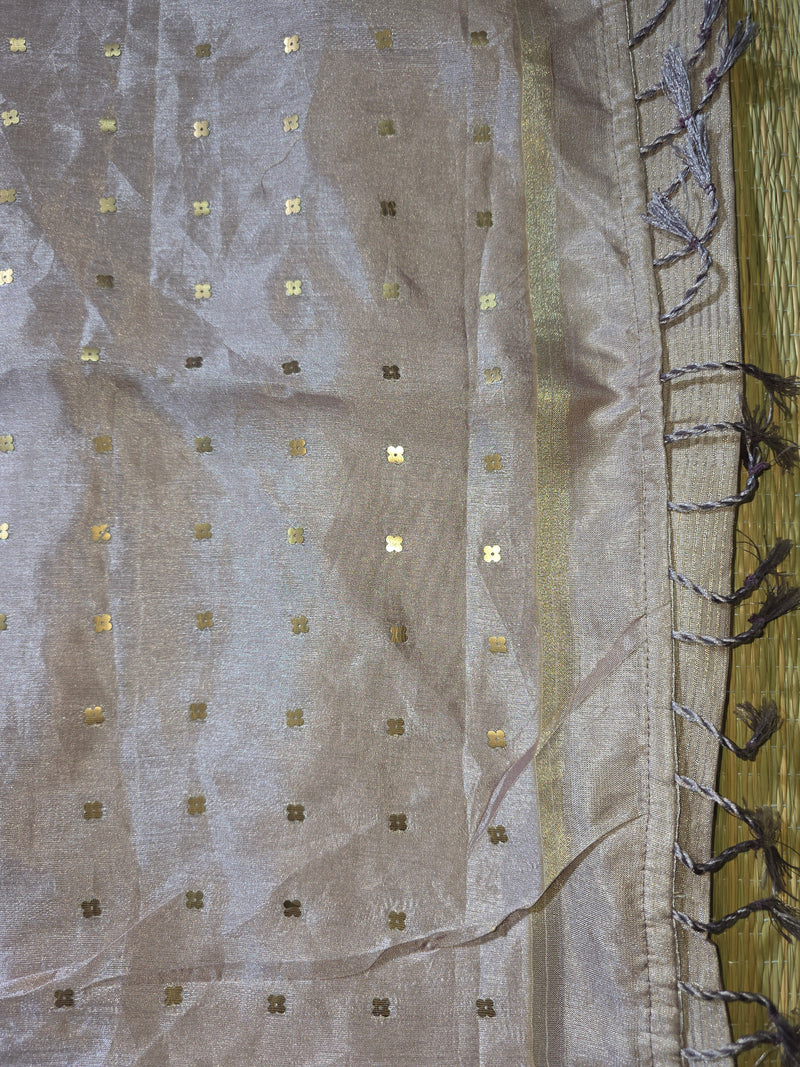 Pure Handloom Tussar Silk Saree with Embroidery and sequins in Muslin Pallu