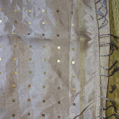 Pure Handloom Tussar Silk Saree with Embroidery and sequins in Muslin Pallu