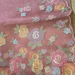 Organza Tissue Saree with Pretty Florals