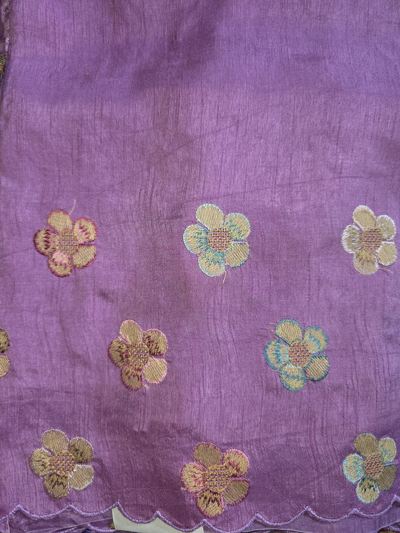 Pure Organza Saree with Jaal Thread Work