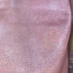 Organza Tissue Saree with Pretty Florals