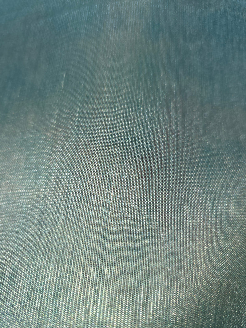 Blue Printed Tussar Silk Saree with Jamdhani Pallu
