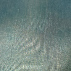 Blue Printed Tussar Silk Saree with Jamdhani Pallu